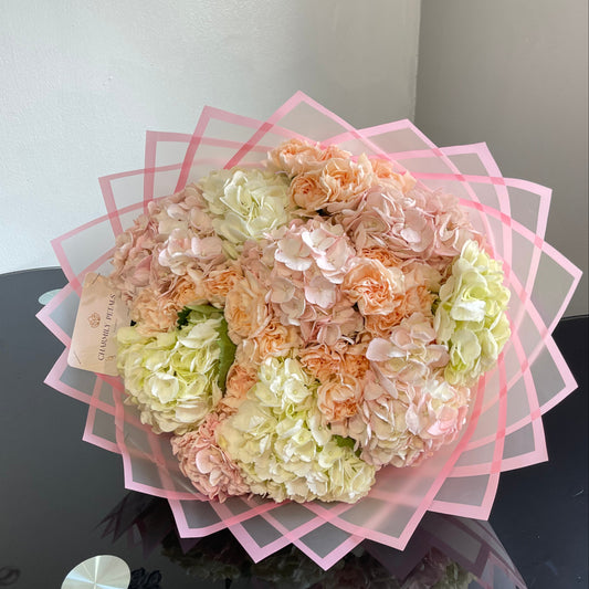 Élysées Hydrangeas