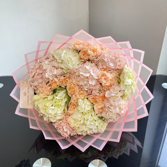 Élysées Hydrangeas